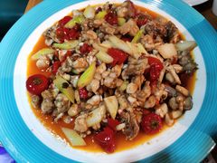 -三猫黑鱼花(南大店)