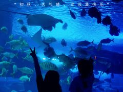 -泉城欧乐堡海洋极地世界