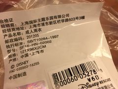 -迪士尼乐园停车场