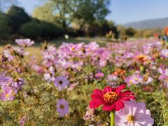 -钟山体育运动公园