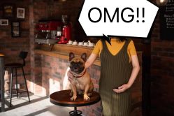 -乖乖兔伊丽娅孕妈摄影(长江西路店)