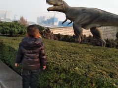 -陕西自然博物馆