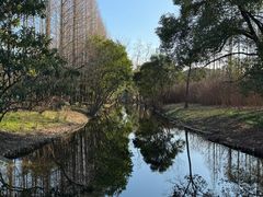 -上海滨江森林公园