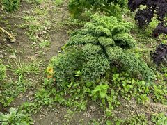 -中国天府农业博览园