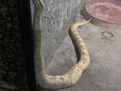-沈阳森林动物园