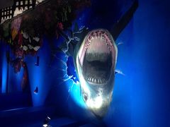 船奇蒸汽海鲜-船奇蒸汽海鲜·闽菜(八市海鲜总店)