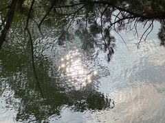 -叶家花园