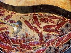 -朱光玉火锅馆(正弘城店)