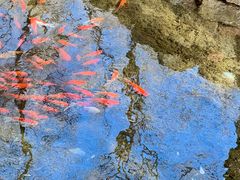 -水磨沟公园