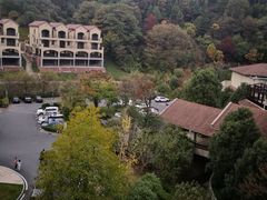 -宜春明月山维景国际温泉度假酒店