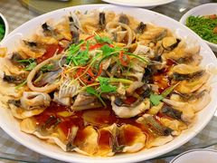 -京北渔家傲