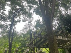 -黔灵山公园
