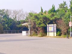 -日照海滨国家森林公园