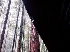 -山王坪喀斯特国家生态公园