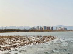 -永定河休闲森林公园