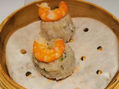 鮮圍蝦魚蓉白燒賣-新同乐鱼翅酒家(美丽华店)