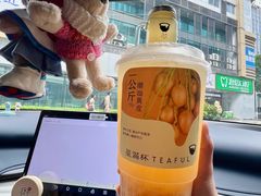 -星满杯TEAFUL(罗湖东门店)