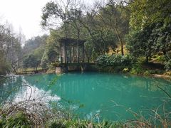 -龙井壹号·茶缘山景宴(龙井村店)