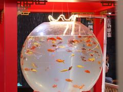 -宝龙广场(福州台江店)