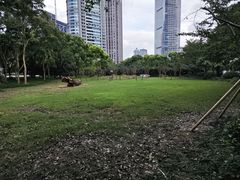 -陆家嘴中心绿地