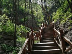 -大岭沟猕猴桃谷风景区