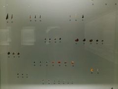 -青岛贝壳博物馆