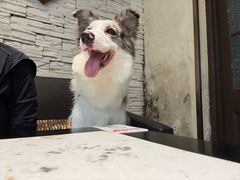 -美庐餐厅·湖北菜·吴佩孚公馆(南京路店)