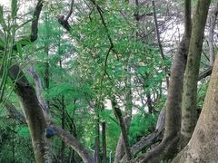 -人民公园(罗湖区)