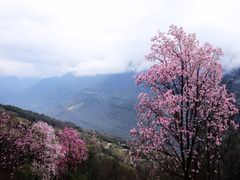 -九皇山景区