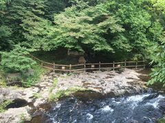 -关门山森林公园