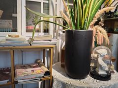 -84那年咖啡馆(李沧万达店)