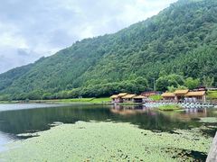 -腾冲北海湿地