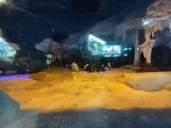 -海合安武汉极地海洋公园