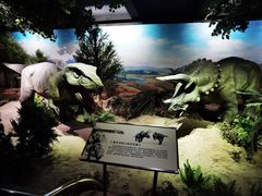 -国家自然博物馆