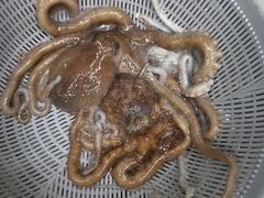 -常家活海鲜小吃(仅一家无分店)
