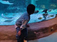 -沈阳海洋探索中心