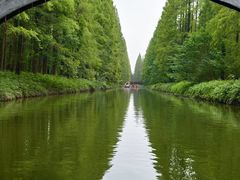 -黄海国家森林公园