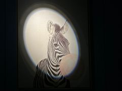 -小火花·干式熟成牛排馆Spark SteakHouse(剑桥郡店)