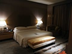 -西安赛瑞喜来登大酒店