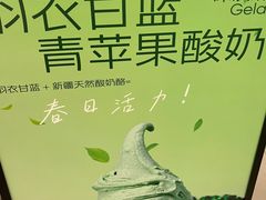 -野人先生现做冰淇淋(北京王府井东方新天地店)
