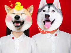 -青春加萌照相馆