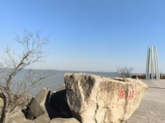 -上海滨江森林公园