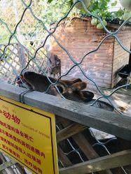 -萌宠亲子动物乐园(槐房万达店)