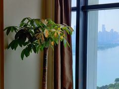 -长沙富力万达文华酒店