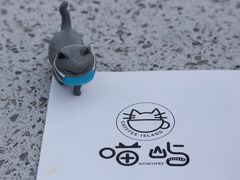 -喵屿·大理花园猫咖