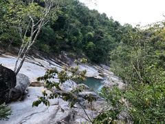 -海南霸王岭国家森林公园