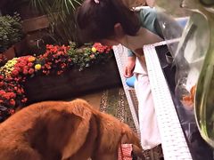 -浔岚云舍mist静谧观景美宿(丽江古城店)