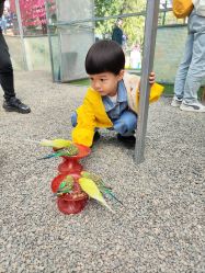 -萌宠亲子动物乐园(槐房万达店)