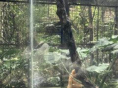 -海南热带野生动植物园