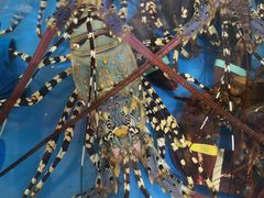 -清水湾3号(东方小周海鲜店)